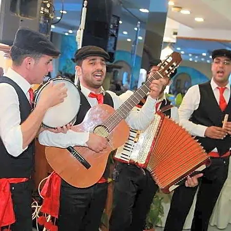 Il Gabbiano